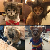 Funny Cute Pet To Lion Costume