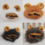 Funny Cute Pet To Lion Costume