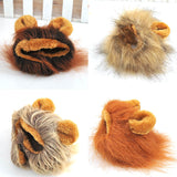 Funny Cute Pet To Lion Costume